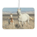 Recherche de chevaux voiture accessoires Sauge