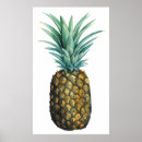 Suche nach tropische ananas poster Früchte