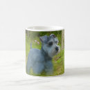 Recherche de miniature schnauzer tasses Terrier