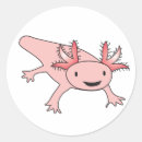 Suche nach salamander aufkleber Axolotl