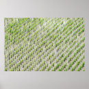 Recherche de rizières posters Vert