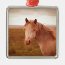 Suche nach wildpferd ornamente Tier