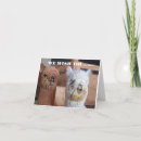 Recherche de de patron photographie Collègue