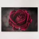 Recherche de bourgogne puzzles Fleurs