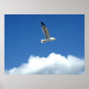 Suche nach masten poster Meer