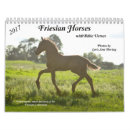 Recherche de cheval frison bureau école Jument