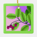 Suche nach himbeeren ornamente Rosa