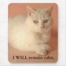 Suche nach ruhig bleiben Spaß