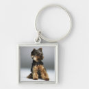 Suche nach yorkshire terrier schlüsselanhänger Horizontal