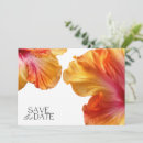 Suche nach tropisch save the date Strandhochzeit