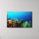 Suche nach tauchen an poster leinwandbilder Unterwasser