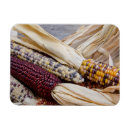 Recherche de assortiment magnets De près