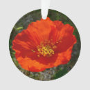 Suche nach poppy ornamente Foto