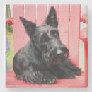 Recherche de scottie dessous de verres Scotty