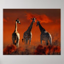 Suche nach südafrikanisch poster Tier