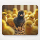 Suche nach lustiger bauernhof mousepads Küken