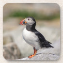Recherche de atlantique dessous de verres Nature
