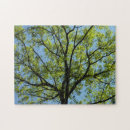 Recherche de nature puzzles Arbre