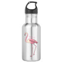 Suche nach rosa flamingos trinkflaschen Vogelvogel