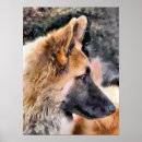 Recherche de alsaciennes posters Chiens de travail