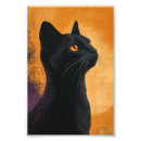 Recherche de haustier posters Katze