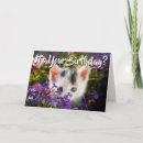 Suche nach lila katzen karten Girl