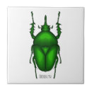 Suche nach bug fliesen Fehler
