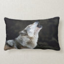 Recherche de loup neige de coussins Animaux