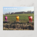 Recherche de vache heureuse cartes postales Amusant