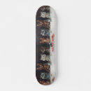 Recherche de cat skateboards Chats