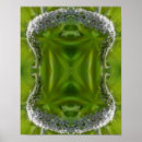 Recherche de nature sauvage posters Vert