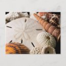 Recherche de assortiment cartes postales Détail