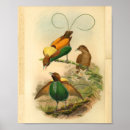 Suche nach vogelkunde poster Grün