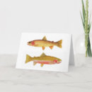 Suche nach lachse postkarten Forelle