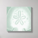Suche nach sand und weiß poster leinwandbilder Sanddollar