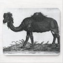 Recherche de dromadaire tapis souris Bosse