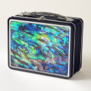 Suche nach muschel brotdosen Ozean