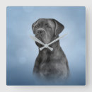 Suche nach dog drawing poster Canine