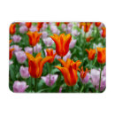 Suche nach tulpe magnete Niedlich