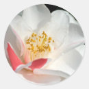 Recherche de camélia autocollants Floral