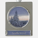 Suche nach winterlandschaft ornamente Schneebedeckte kiefern