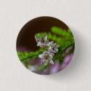 Suche nach blühen buttons Blume