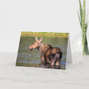 Recherche de élan vœux cartes Faune
