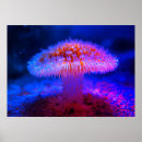Suche nach rote pilze poster Retro