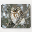 Suche nach schneeeule mousepads Winter