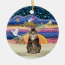 Recherche de chat tigré brun Chats