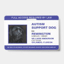 Recherche de assistance Dogs