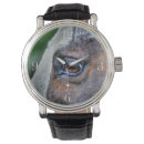 Recherche de photo de cheval montres Animal