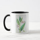 Recherche de 1800s Fleur