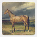 Recherche de le cheval arabe autocollants Équestre